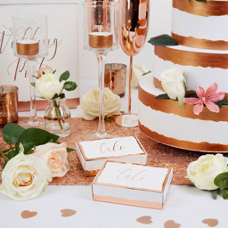 Picture for Rose Gold Themed Wedding category