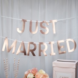 Picture of Just Married Rose Gold Bunting