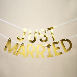 Show details for Just Married Gold Bunting Picture of Just Married Gold Bunting