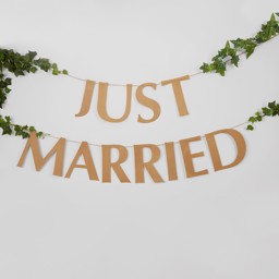 Picture of Just Married Natural Bunting