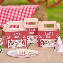 Picture of Farmyard Party Treat Boxes