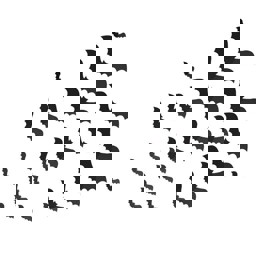 Show details for Halloween Bat Wall Decorations Picture of Halloween Bat Wall Decorations